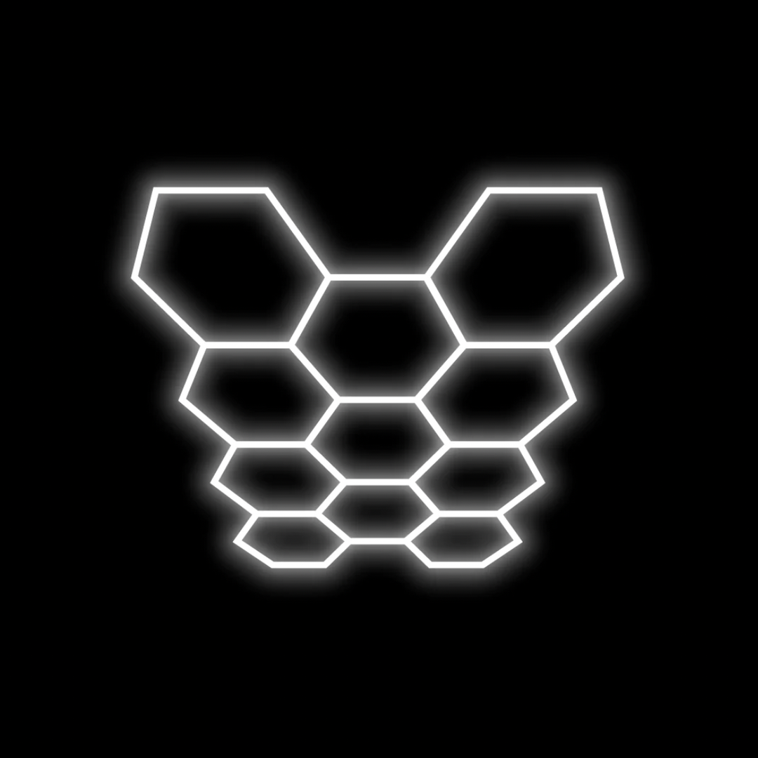 Hexagon Lighting 11 Grid System - Large