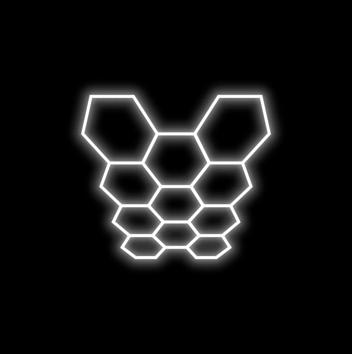 Hexagon Lighting 11 Grid System - Regular – Connect Flooring